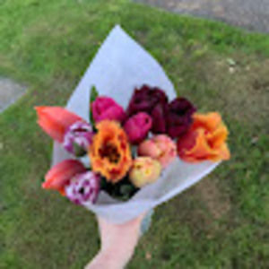 Meet your Posher, Zola